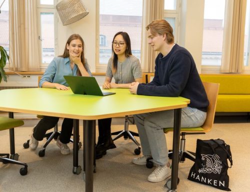 Beyond performance – How students understand and experience effort in learning